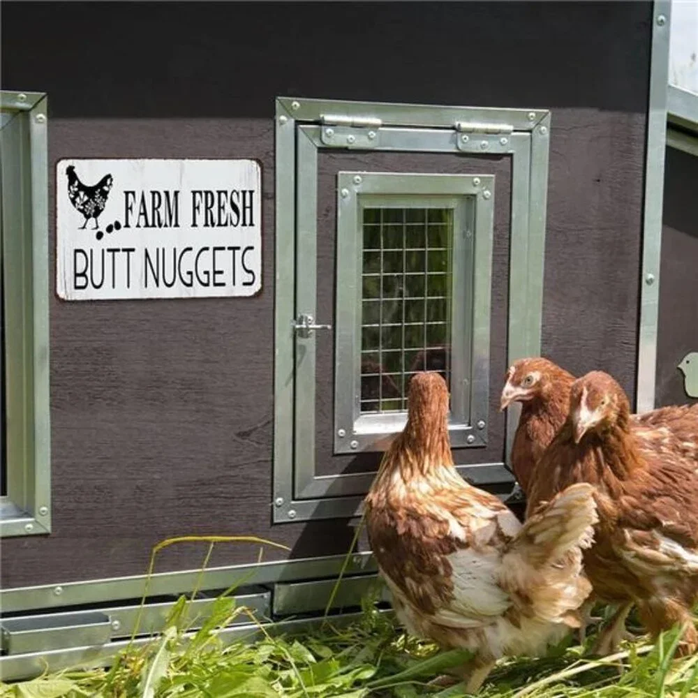Funny Chicken Farm Fresh Butt Nuggets Tin Sign for Home Farm Chicken Coop